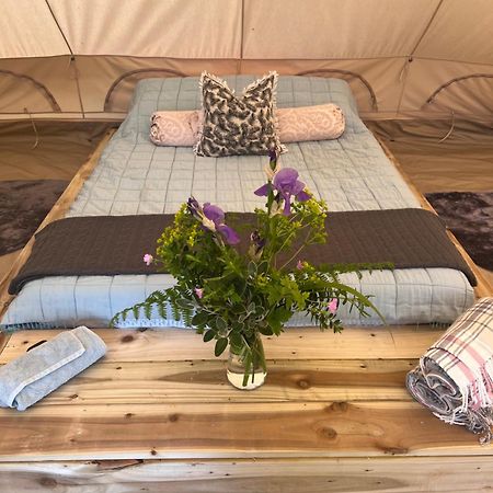 Bluebell Tent At Ballyward Croft Ardkeen Exterior foto
